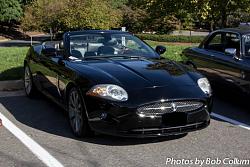 A Pride of Jaguars - Sunday, Sept. 28th, 2014-img_9175.jpg