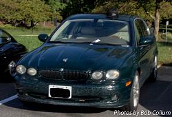 A Pride of Jaguars - Sunday, Sept. 28th, 2014-img_9117.jpg