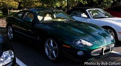 A Pride of Jaguars - Sunday, Sept. 28th, 2014-img_9125.jpg