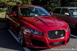 A Pride of Jaguars - Sunday, Sept. 28th, 2014-img_9126.jpg