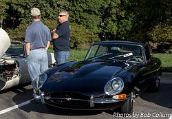 A Pride of Jaguars - Sunday, Sept. 28th, 2014-img_9116.jpg