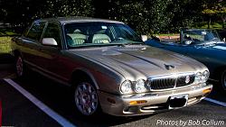 A Pride of Jaguars - Sunday, Sept. 28th, 2014-img_9128.jpg