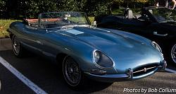 A Pride of Jaguars - Sunday, Sept. 28th, 2014-img_9129.jpg