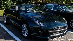 A Pride of Jaguars - Sunday, Sept. 28th, 2014-img_9131.jpg