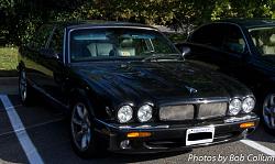 A Pride of Jaguars - Sunday, Sept. 28th, 2014-img_9132.jpg