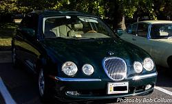 A Pride of Jaguars - Sunday, Sept. 28th, 2014-img_9133.jpg