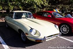 A Pride of Jaguars - Sunday, Sept. 28th, 2014-img_9169.jpg