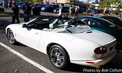 A Pride of Jaguars - Sunday, Sept. 28th, 2014-img_9157.jpg