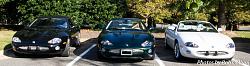 A Pride of Jaguars - Sunday, Sept. 28th, 2014-img_9161.jpg