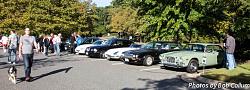 A Pride of Jaguars - Sunday, Sept. 28th, 2014-img_9162.jpg