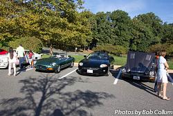 A Pride of Jaguars - Sunday, Sept. 28th, 2014-img_9166.jpg