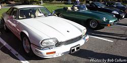 A Pride of Jaguars - Sunday, Sept. 28th, 2014-img_9168.jpg