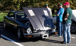 A Pride of Jaguars - Sunday, Sept. 28th, 2014-img_9176.jpg