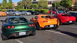 Exotics at Redmond Town Center-photo-2.jpg