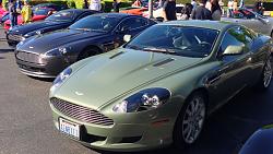 Exotics at Redmond Town Center-photo-41.jpg