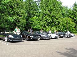 Exotics at Redmond Town Center-img_2862.jpg