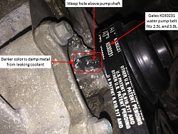 Engine is Warm - won't pump out heat via vents-jaguar-x-type-water-pump-weep-hole.png