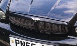 Another X-Type grille alternative here-grille.jpg