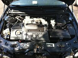 Jaguar X-type engine cleaning??-img_0588.jpg