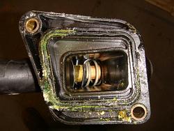 replacing top rad hose and thermostat housing-018.jpg