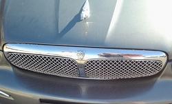 Mesh Grills (Mina Alternatives) ??-20130215143103.jpg