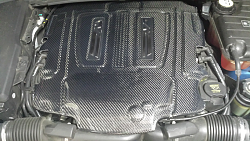 Mina Carbon Fiber Engine Cover-forumrunner_20150419_070929.png