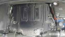 Mina Carbon Fiber Engine Cover-forumrunner_20150419_071001.png