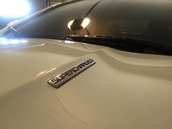 XFS 5.0 - Supercharged logo on hood?-jagster-cu2.jpg