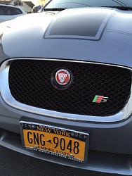 New Mod black grill / jaguar eyes.-image.jpg