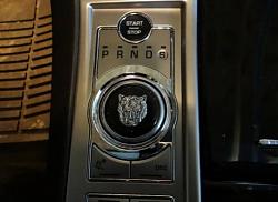 I added a new Rotary Shifter to my XFR-edobernig-107535-albums-pedals-valve-stem-caps-4349-picture-britishwood-shifter-knob-growler-ins.jpg