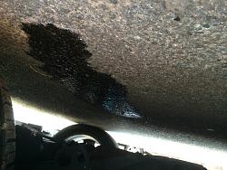 1999 XJR Oil Leak-xjr-oil-leak.jpg