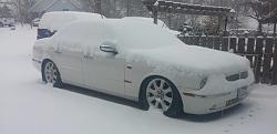 I hate driving it in this winter weather.-snow-cat-2.jpg