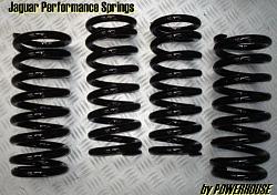 XJR lowering springs-s-l500.jpg