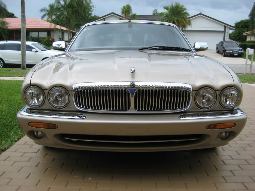Name:  Jaguar024.jpg
Views: 179
Size:  122.5 KB