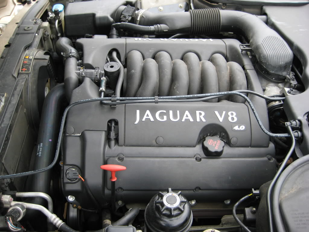 Name:  Jaguar038.jpg
Views: 109
Size:  123.0 KB