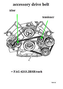 Supercharger Idler Replacement-belt1.jpg