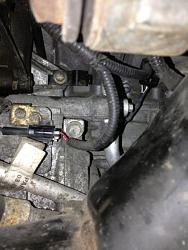 '98 XJ8 - replacing crank position sensor: How?? Help!-crank-position-plug-access-close-up.jpg