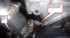 What is your level of pain &amp; suffering when installing XJ6 Carbs?-water-pump.jpg