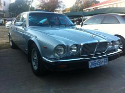 Just picked her up! (1985 Series III)-oliverb-137321-albums-1985-xj6-series-iii-7365-picture-photo2-18878.jpg
