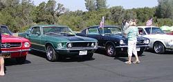 Show &amp; Shine Report, As Requested-mustangs.jpg