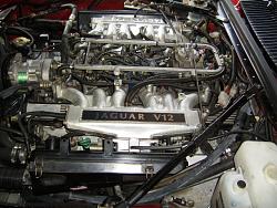 Engine bay pics.-engine-bay.jpg