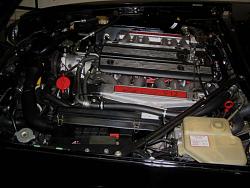 Engine bay pics.-eng2sm.jpg