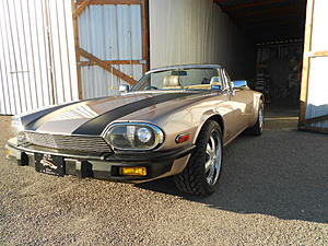 XJS V12 featured on Second Daily-dscn8692.jpg