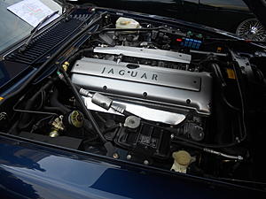 XJS vs XK8-dscn1409.jpg