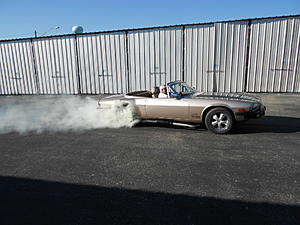 What did you do to or buy for your XJ-S/XJS today?-wild-cat-burnout-006.jpg