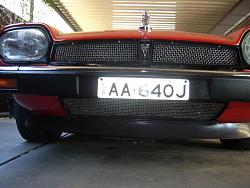 Custom Grille?-xjs-mesh-grille-2.jpg