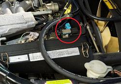 Cruise control removal-blue-thing.jpg