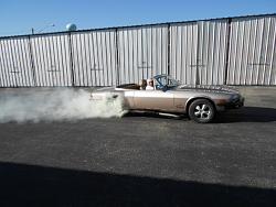 XJS - 6 vs 12 - which one to buy?-wild-cat-burnout-006.jpg