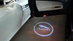 Jaguar leaper mats-p1020677-5-.jpg