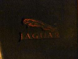 Jaguar leaper mats-p1020730.jpg